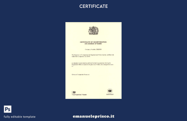 stile verificato Modello di certificato di incorporazione della società statunit